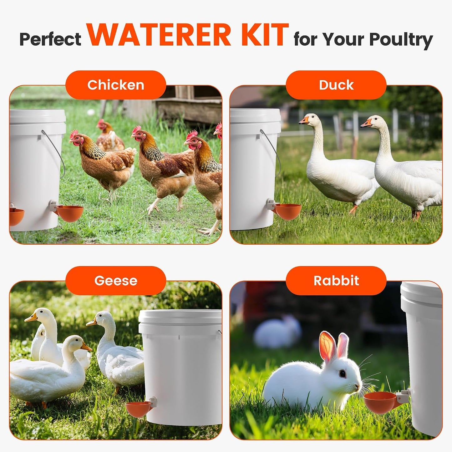 Chicken Waterer Cups, 6 Pack Automatic Chickens Water Cups for Poultry Orange