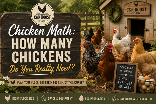 Chicken Math: How Many Chickens Do You Really Need?