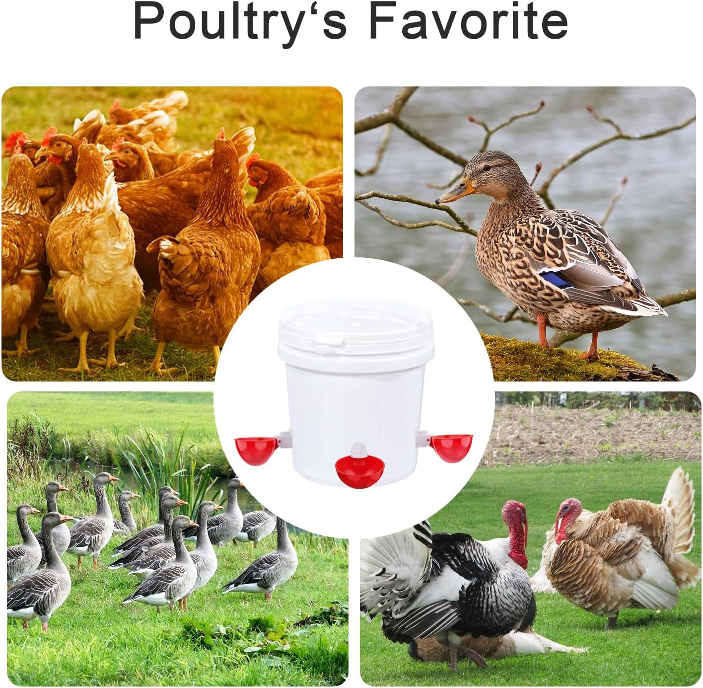 Chicken Waterer Cups, 6 Packs Large Chicken Watering Cups, Automatic Chicken Water Cups, Tee Fittings Poultry Feeder Cups Suitable for Chicken, Duck, Goose, Turkey with Mounting Hole Opener | Automatic Chicken Water Cups, Tee Fittings Poultry Feeder Cups Suitable for Chicken, Duck, Turkey with Mounting Hole Opener
