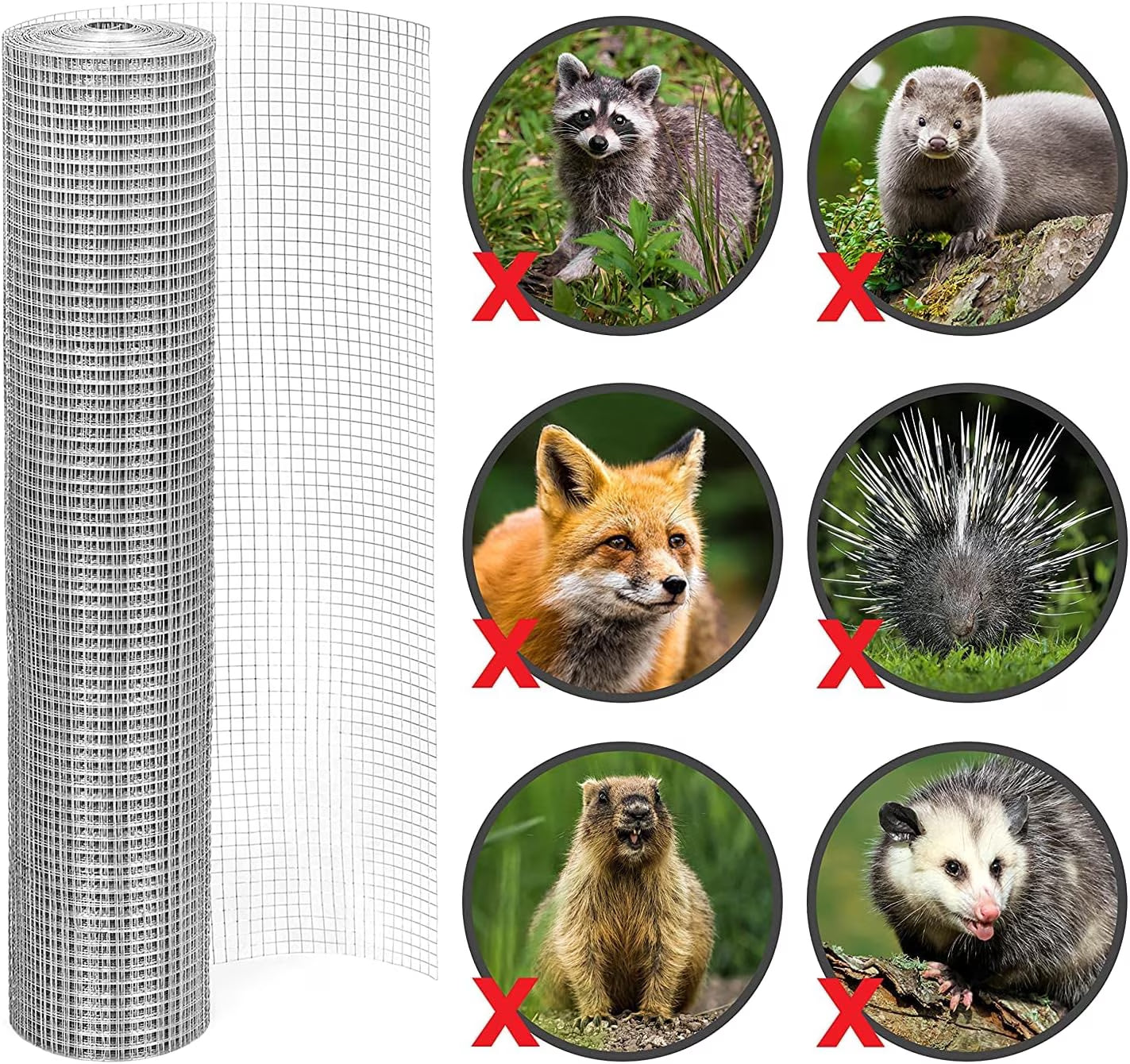 1/2" Hardware Cloth – 48" × 100' Galvanized Wire Mesh for Chicken Coops & Runs
