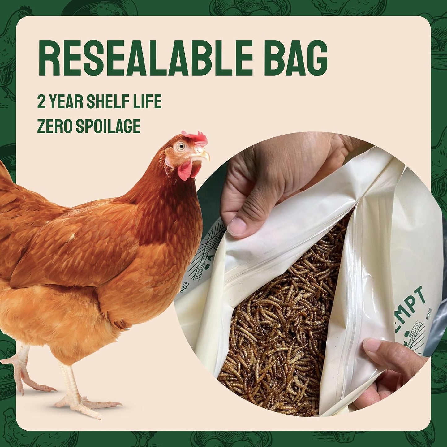 5Lb Dried Mealworms for Chickens & Wild Birds, Chicken Feed | High-Protein Chicken Food - Meal Worms Fed an Organic Diet - Hand Inspected Treats for Laying Hens & Ducks - 2 Yr Shelf Life