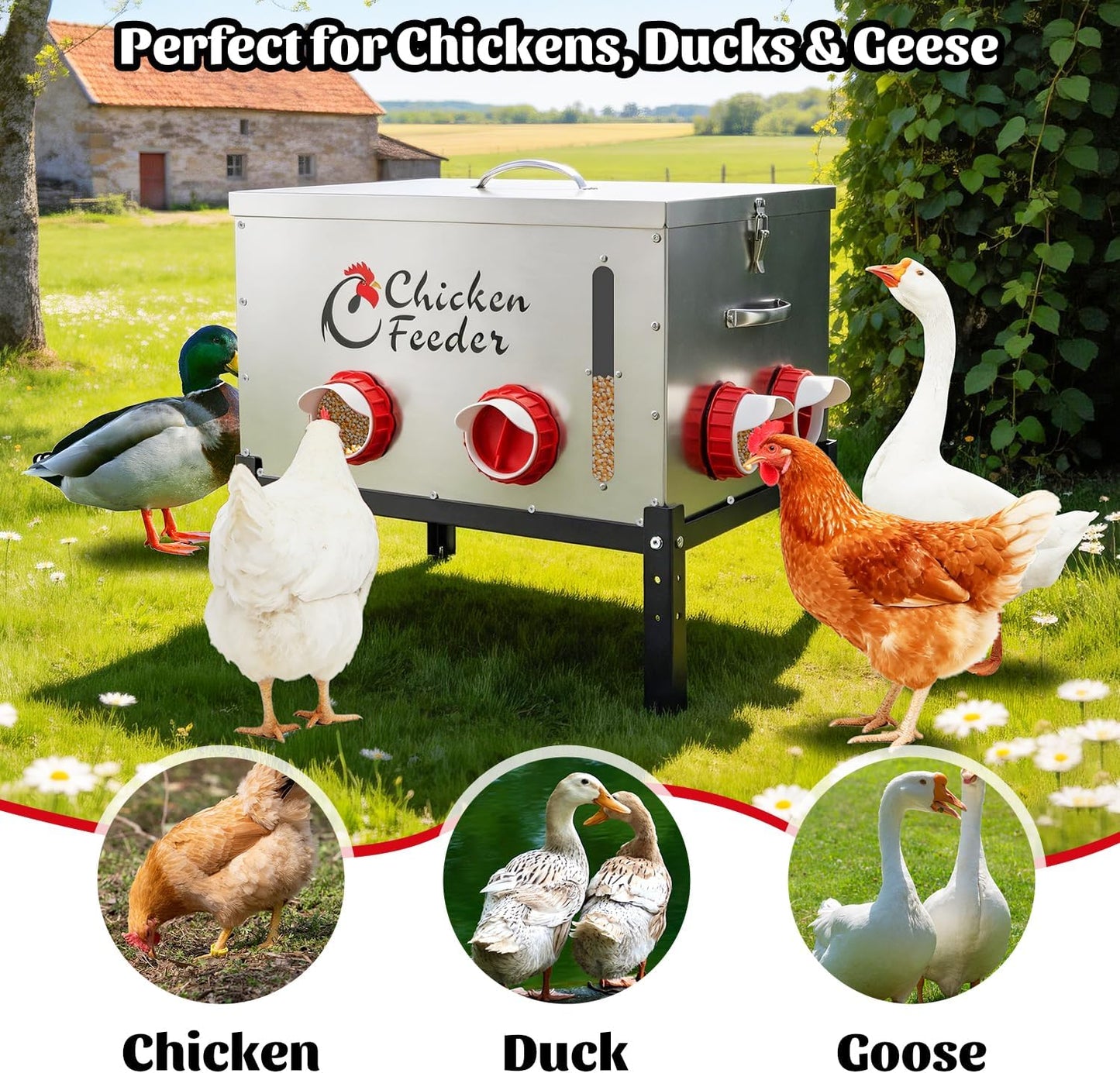 80LB Metal Chicken Feeder, Rat Proof Automatic Chicken Feeder with Visible Window & 8 Ports, Galvanized No Waste Poultry Feeder for Chickens, Ducks, Geese