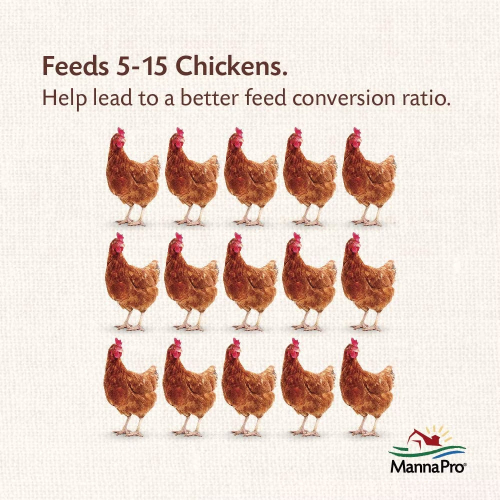 Harris Farms 7-pound hanging poultry feeder