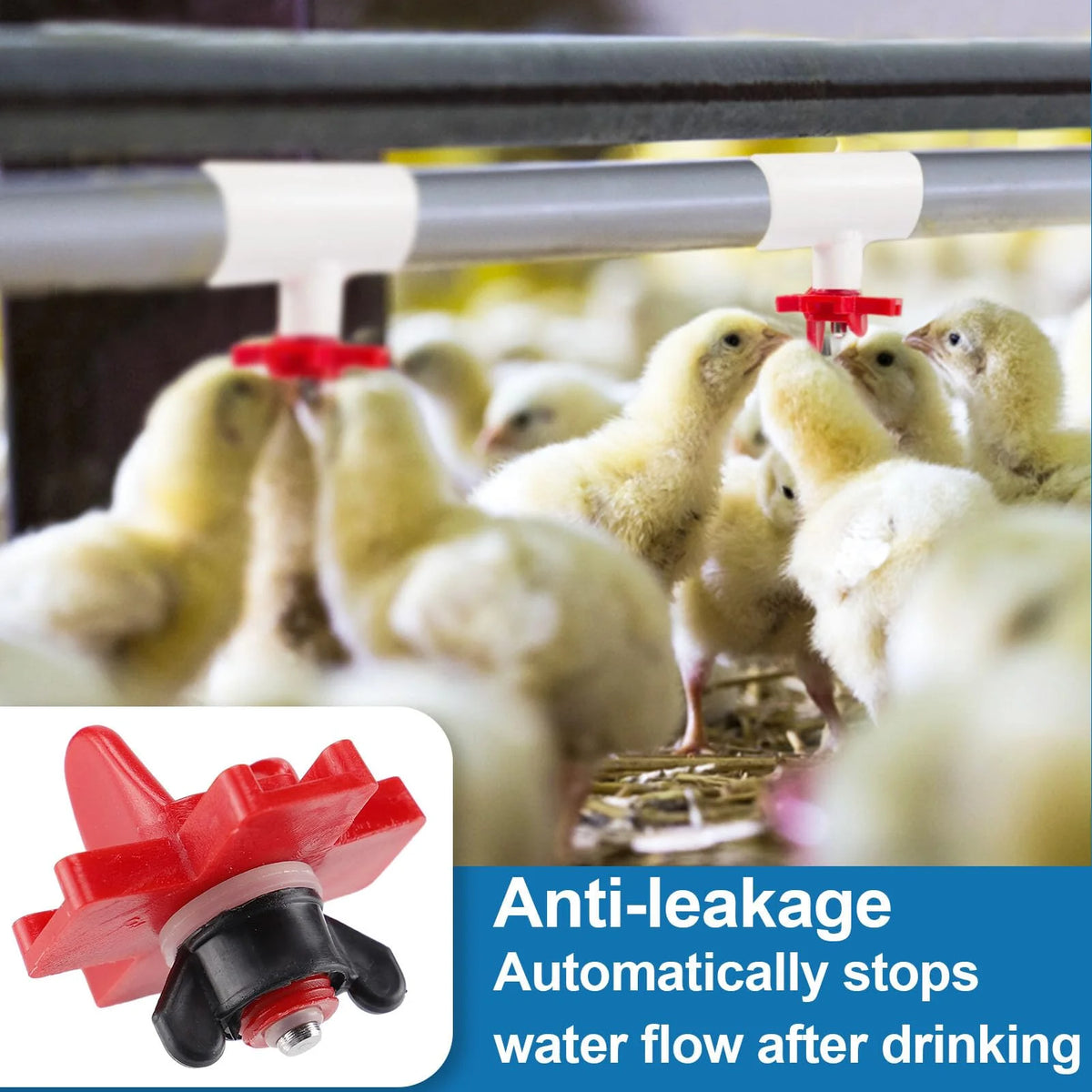 20-Pack Horizontal Chicken Watering Nipples – DIY Poultry Waterer Kit