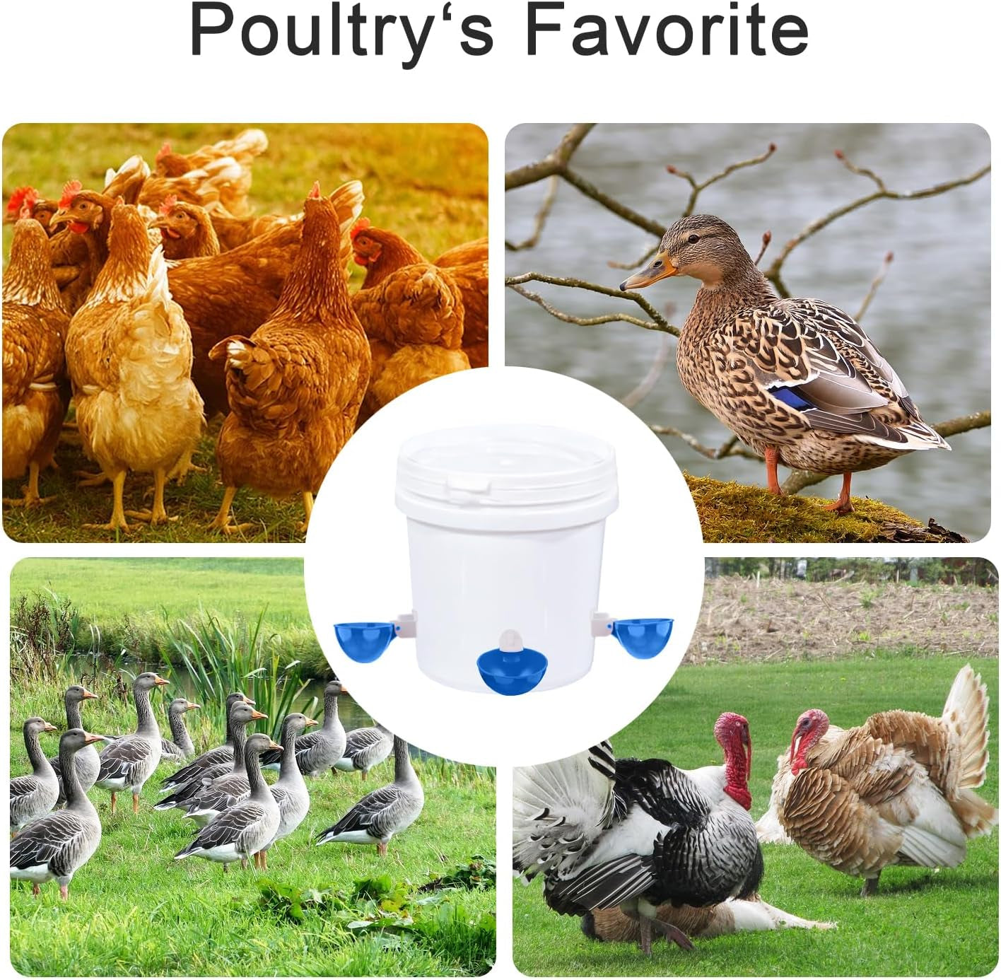 Chicken Waterer Cups, 8 Packs Blue Large Chicken Watering Cups | Automatic Chicken Water Cups, Tee Fittings Poultry Feeder Cups Suitable for Chicken, Duck, Turkey with Mounting Hole Opener