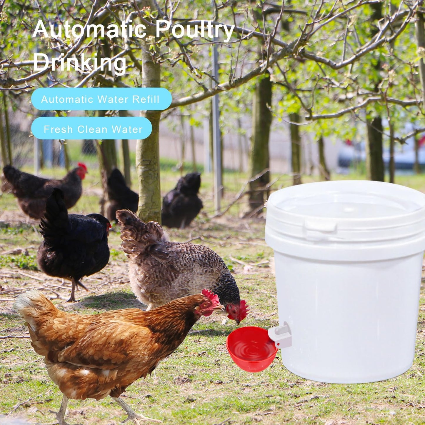 Chicken Waterer Cups, 6 Packs Large Chicken Watering Cups, Automatic Chicken Water Cups, Tee Fittings Poultry Feeder Cups Suitable for Chicken, Duck, Goose, Turkey with Mounting Hole Opener | Automatic Chicken Water Cups, Tee Fittings Poultry Feeder Cups Suitable for Chicken, Duck, Turkey with Mounting Hole Opener