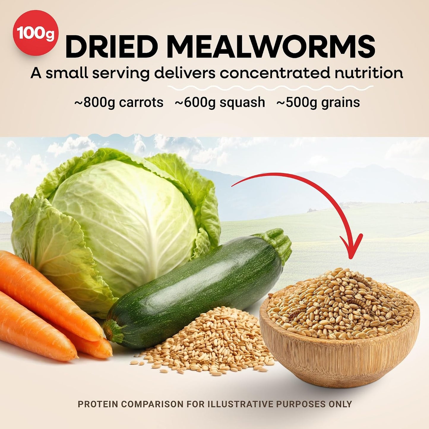 Dried Mealworms Non-Gmo 5 Lb High-Protein for Chickens & Birds | Perfect High-Protein Treat for Ducks, Wild Birds & Bluebirds, Whole Large Dried Mealworms Bulk, No Additives or Preservatives