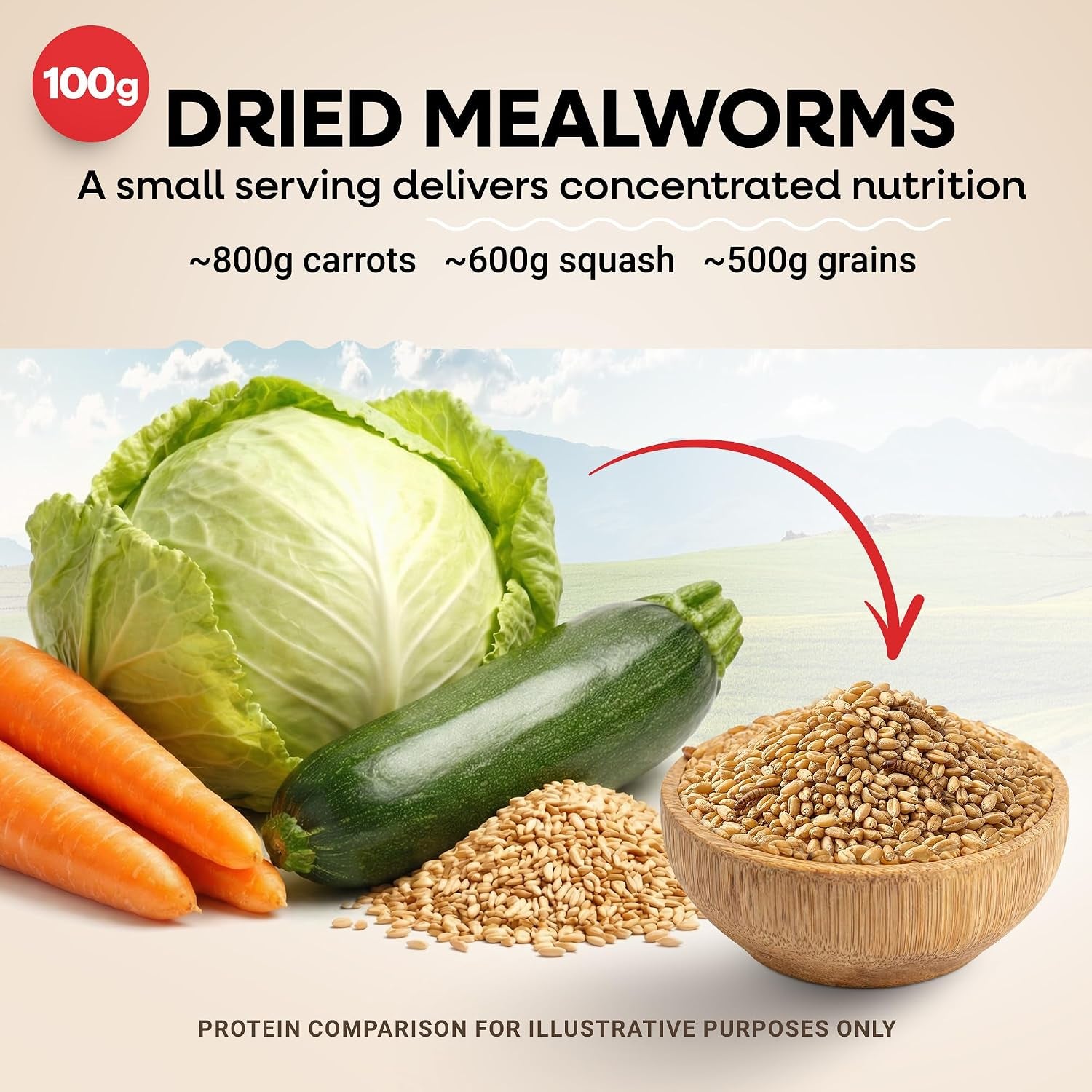 Dried Mealworms Non-Gmo 5 Lb High-Protein for Chickens & Birds | Perfect High-Protein Treat for Ducks, Wild Birds & Bluebirds, Whole Large Dried Mealworms Bulk, No Additives or Preservatives