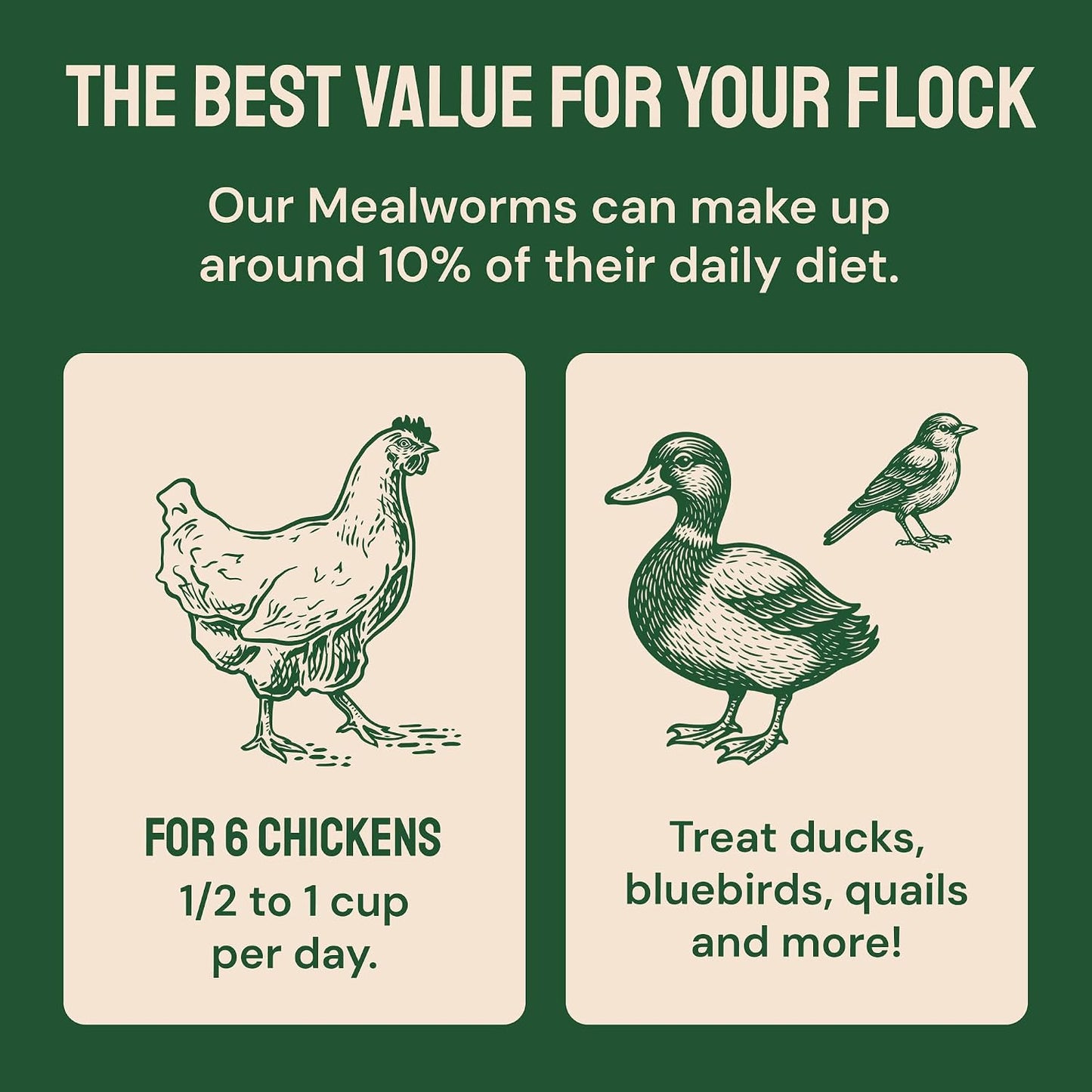 5Lb Dried Mealworms for Chickens & Wild Birds, Chicken Feed | High-Protein Chicken Food - Meal Worms Fed an Organic Diet - Hand Inspected Treats for Laying Hens & Ducks - 2 Yr Shelf Life