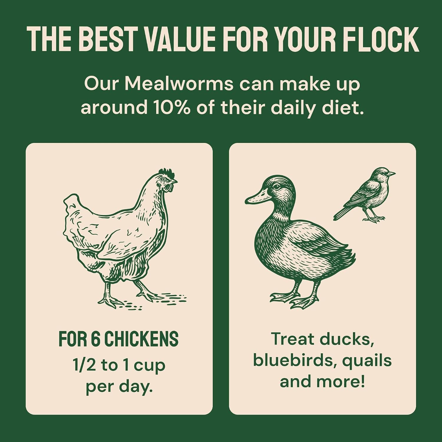 5Lb Dried Mealworms for Chickens & Wild Birds, Chicken Feed | High-Protein Chicken Food - Meal Worms Fed an Organic Diet - Hand Inspected Treats for Laying Hens & Ducks - 2 Yr Shelf Life