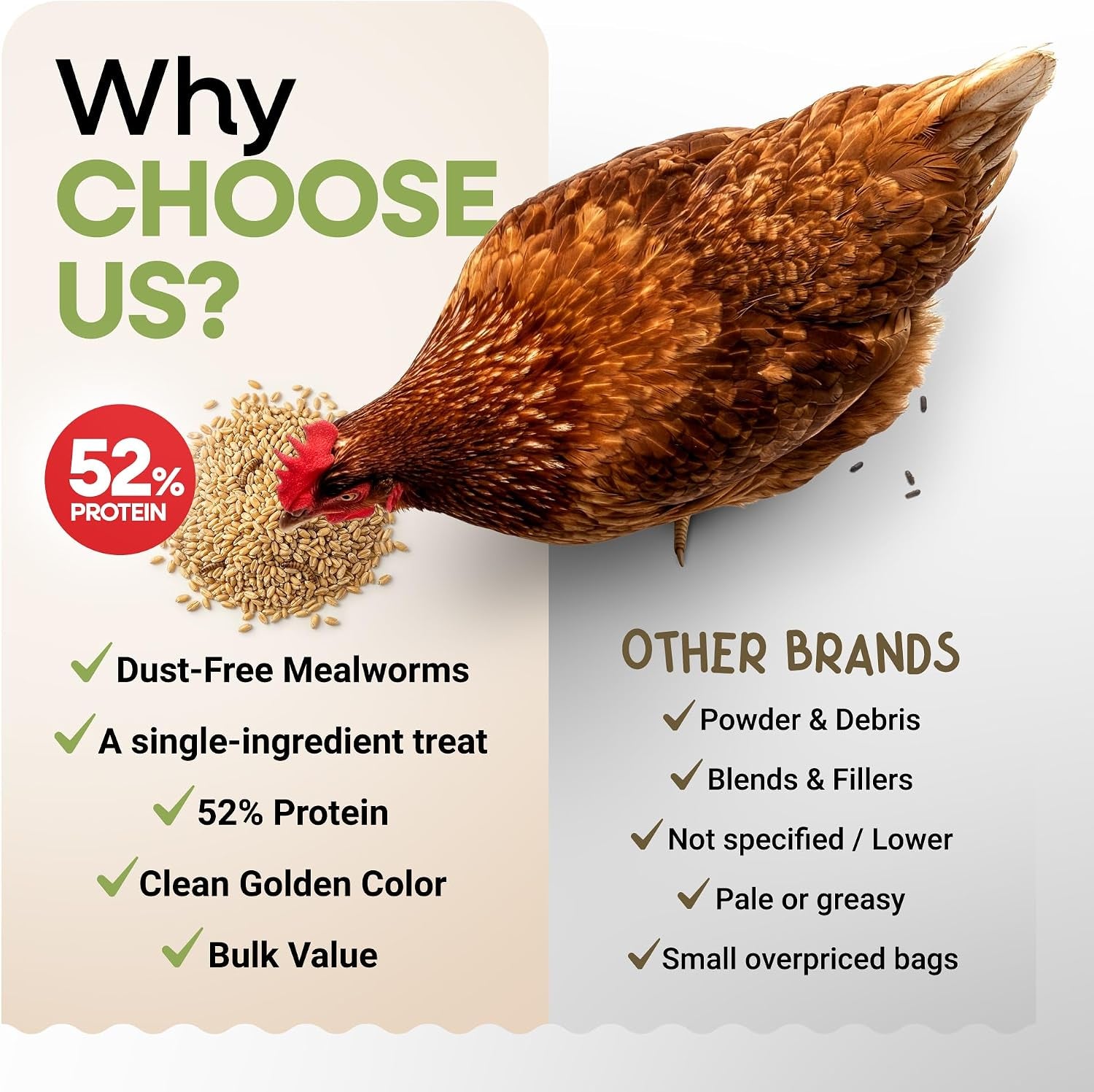 Dried Mealworms Non-Gmo 5 Lb High-Protein for Chickens & Birds | Perfect High-Protein Treat for Ducks, Wild Birds & Bluebirds, Whole Large Dried Mealworms Bulk, No Additives or Preservatives