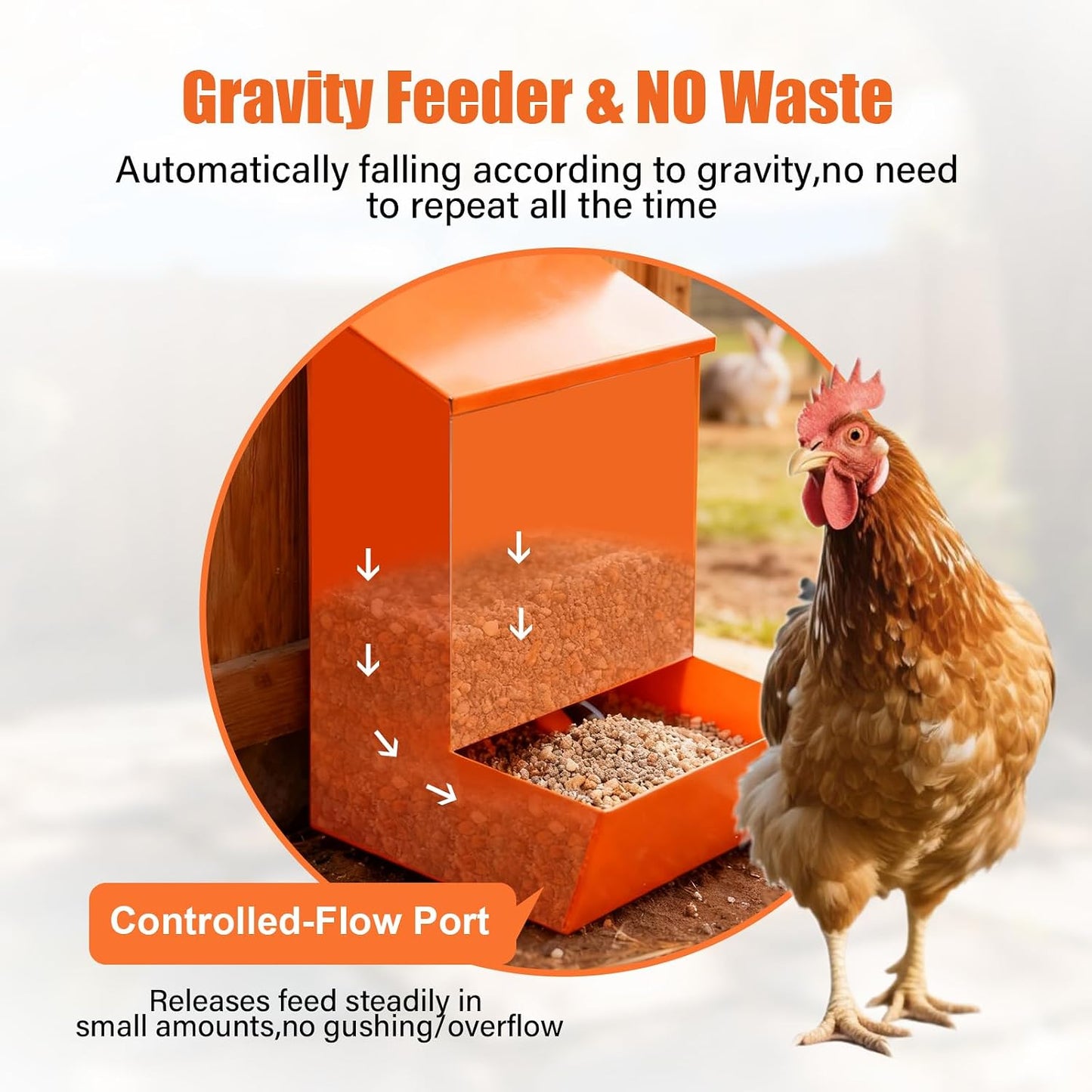 2-Pack Chicken Grit & Oyster Shell Feeder