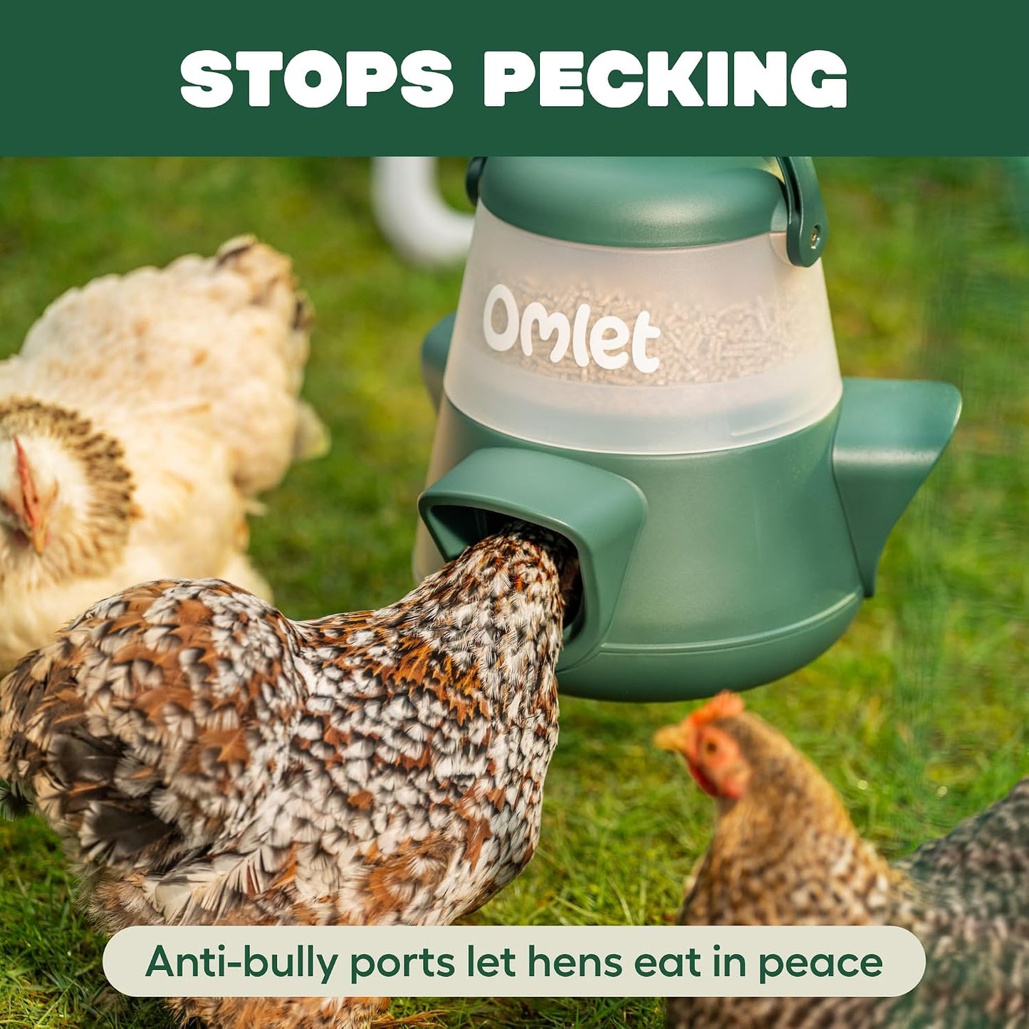 No Waste Chicken Feeder for Coop | Anti-Spill Poultry Feeder with 3 Feeding Ports | Hanging or Free Standing | Weatherproof | 6Lb