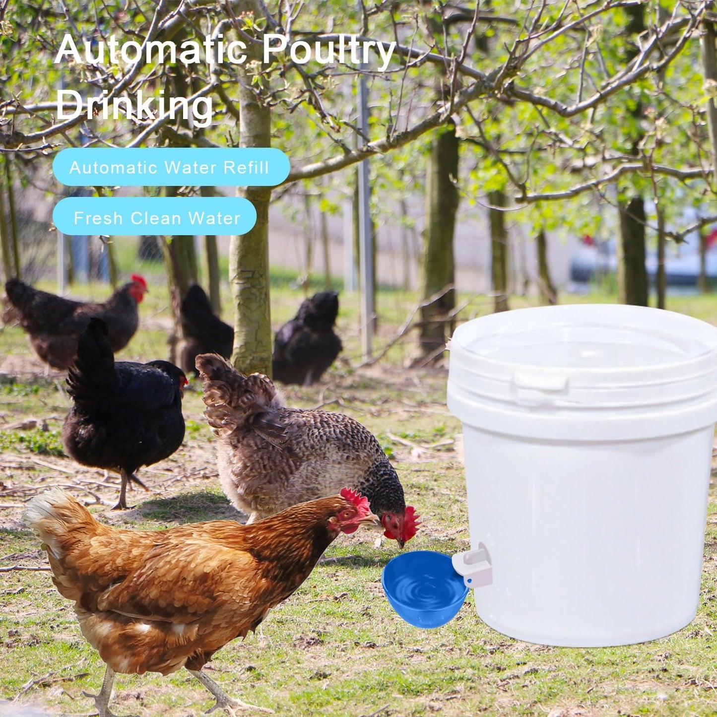 Chicken Waterer Cups, 8 Packs Blue Large Chicken Watering Cups | Automatic Chicken Water Cups, Tee Fittings Poultry Feeder Cups Suitable for Chicken, Duck, Turkey with Mounting Hole Opener