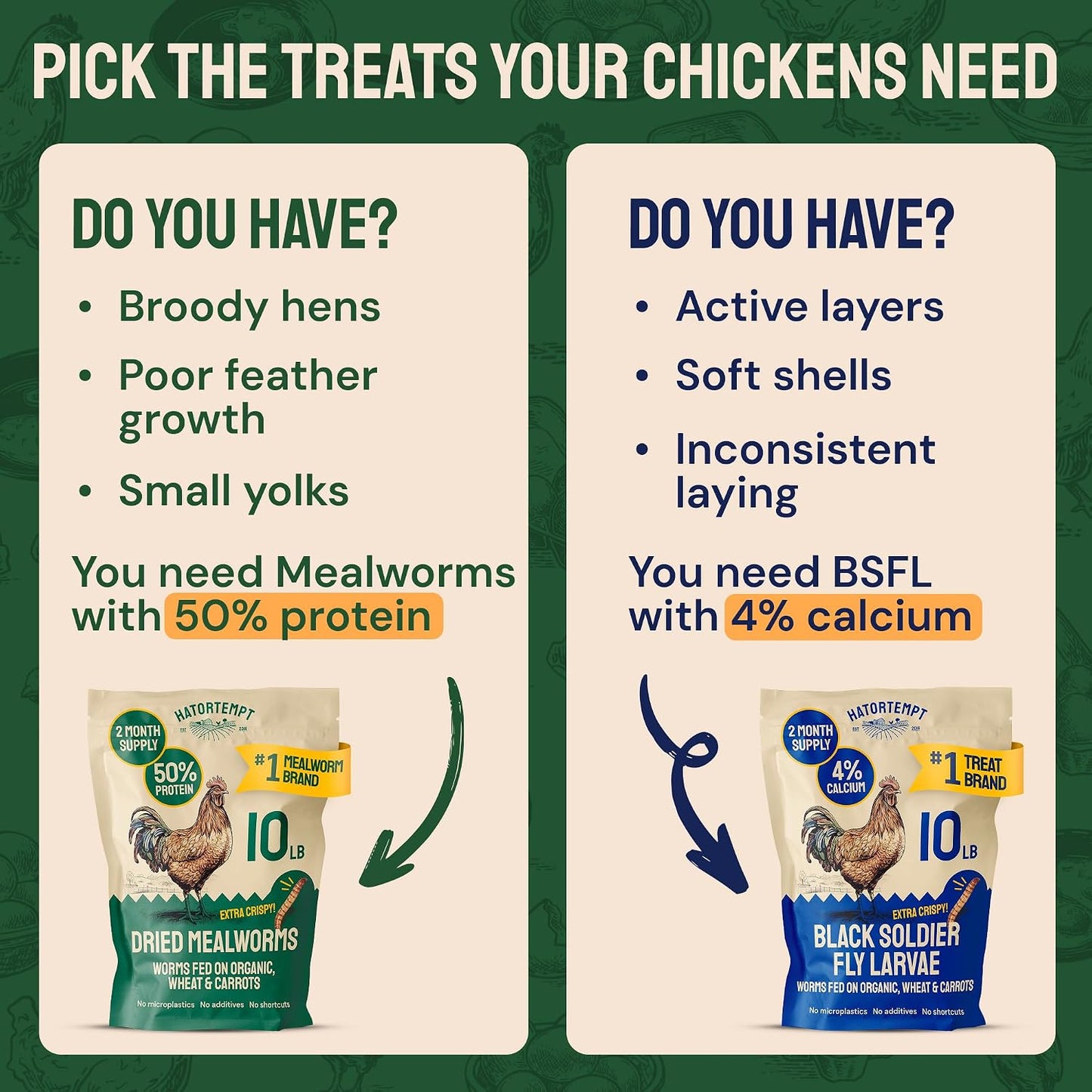 5Lb Dried Mealworms for Chickens & Wild Birds, Chicken Feed | High-Protein Chicken Food - Meal Worms Fed an Organic Diet - Hand Inspected Treats for Laying Hens & Ducks - 2 Yr Shelf Life
