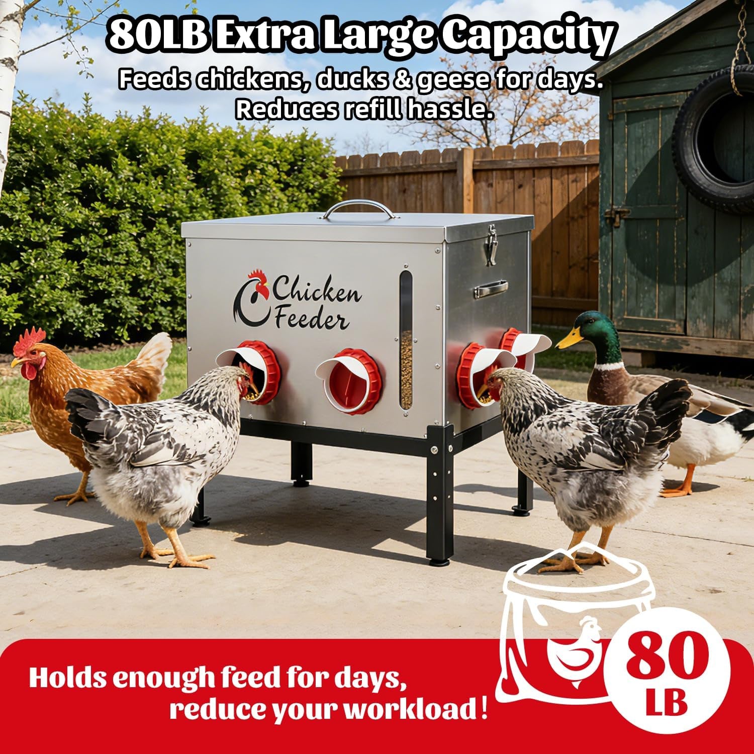 80LB Metal Chicken Feeder, Rat Proof Automatic Chicken Feeder with Visible Window & 8 Ports, Galvanized No Waste Poultry Feeder for Chickens, Ducks, Geese