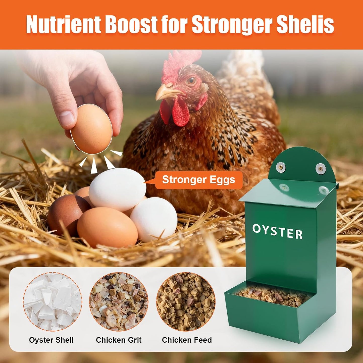 2-Pack Chicken Grit & Oyster Shell Feeder