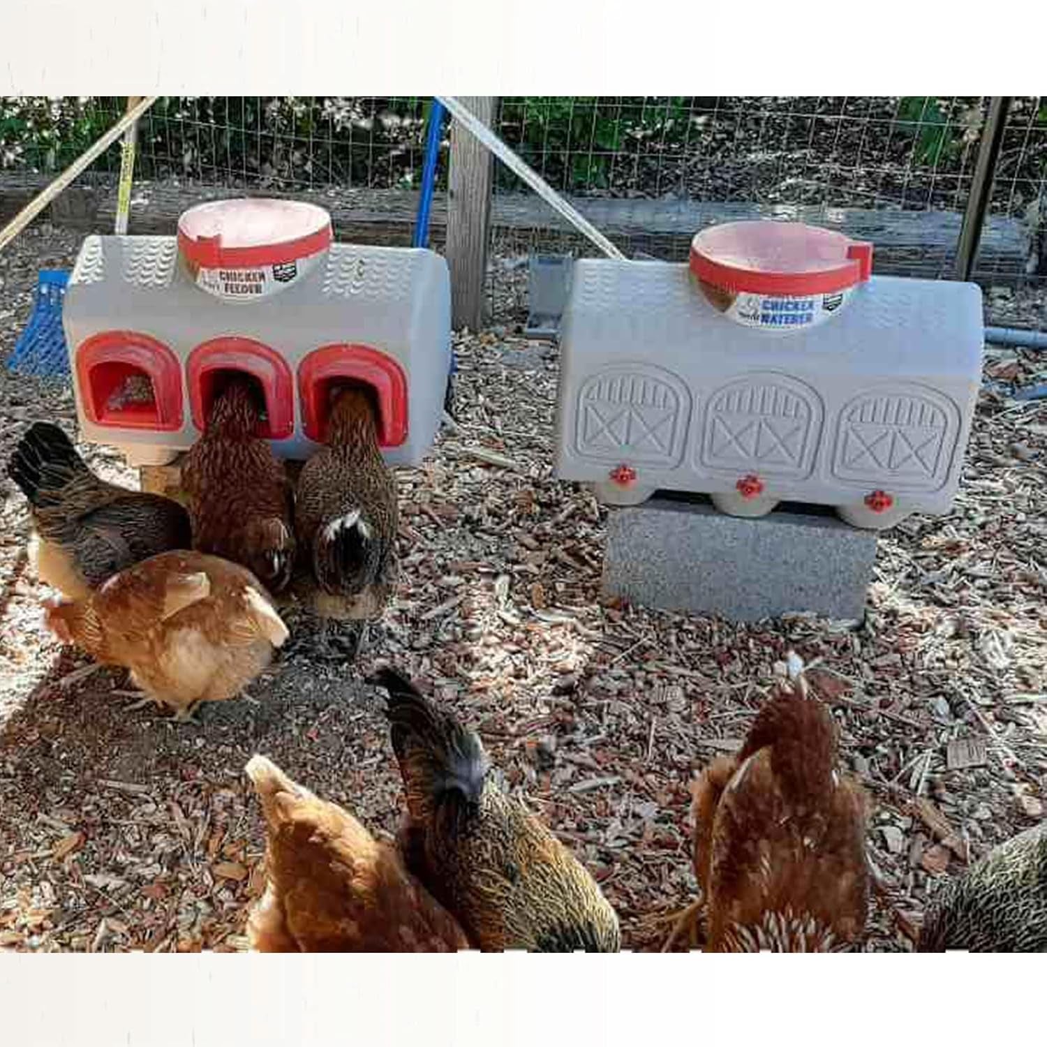 Overez Automatic Chicken Waterer with No Spill System, outside and inside Poultry Drinker, Large 12 Gallon High Capacity Drinking Bottle Dispenser for Hens