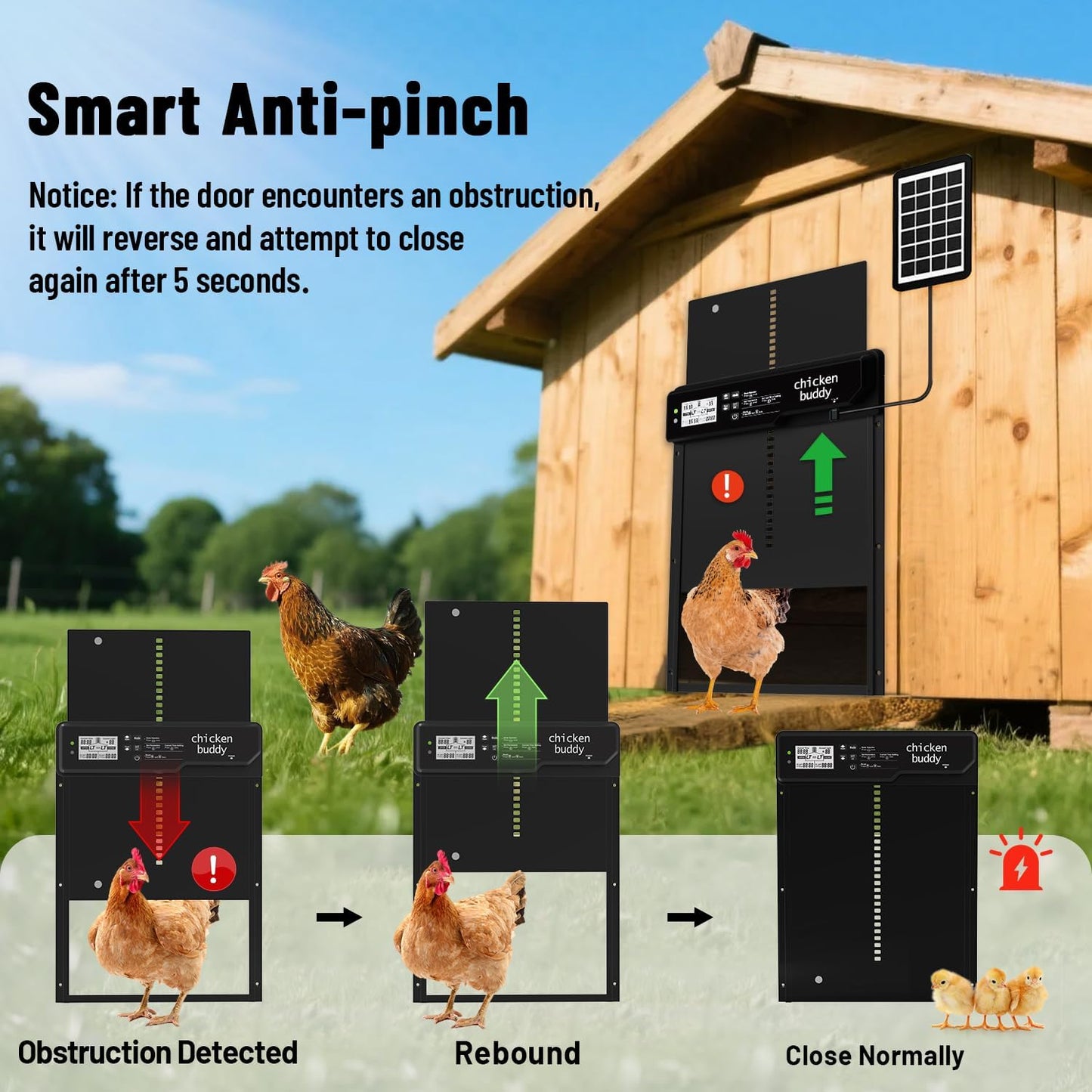 Automatic Chicken Coop Door Solar Powered Extra Large 10″ X 14.3 ″LCD Display Automatic Chicken Door with 4 Modes Timer & Light Sensor, Aluminum Alloy Chicken Door