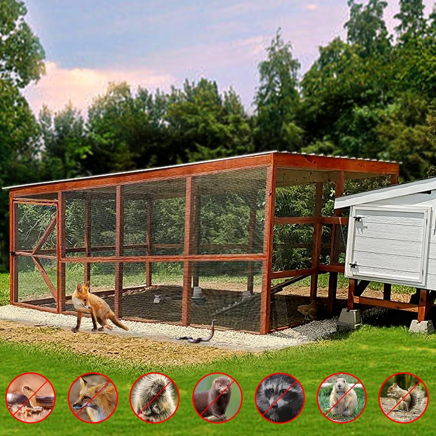 Hardware Cloth 1/2 Inch 36 X 100 Ft 19 Gauge, Chicken Coop Wire Fencing, Hot Dipped Galvanized Wire Mesh, Hardware Cloth for Chicken Coop, Rabbit Cages, Garden, Small Rodents Screen Fence