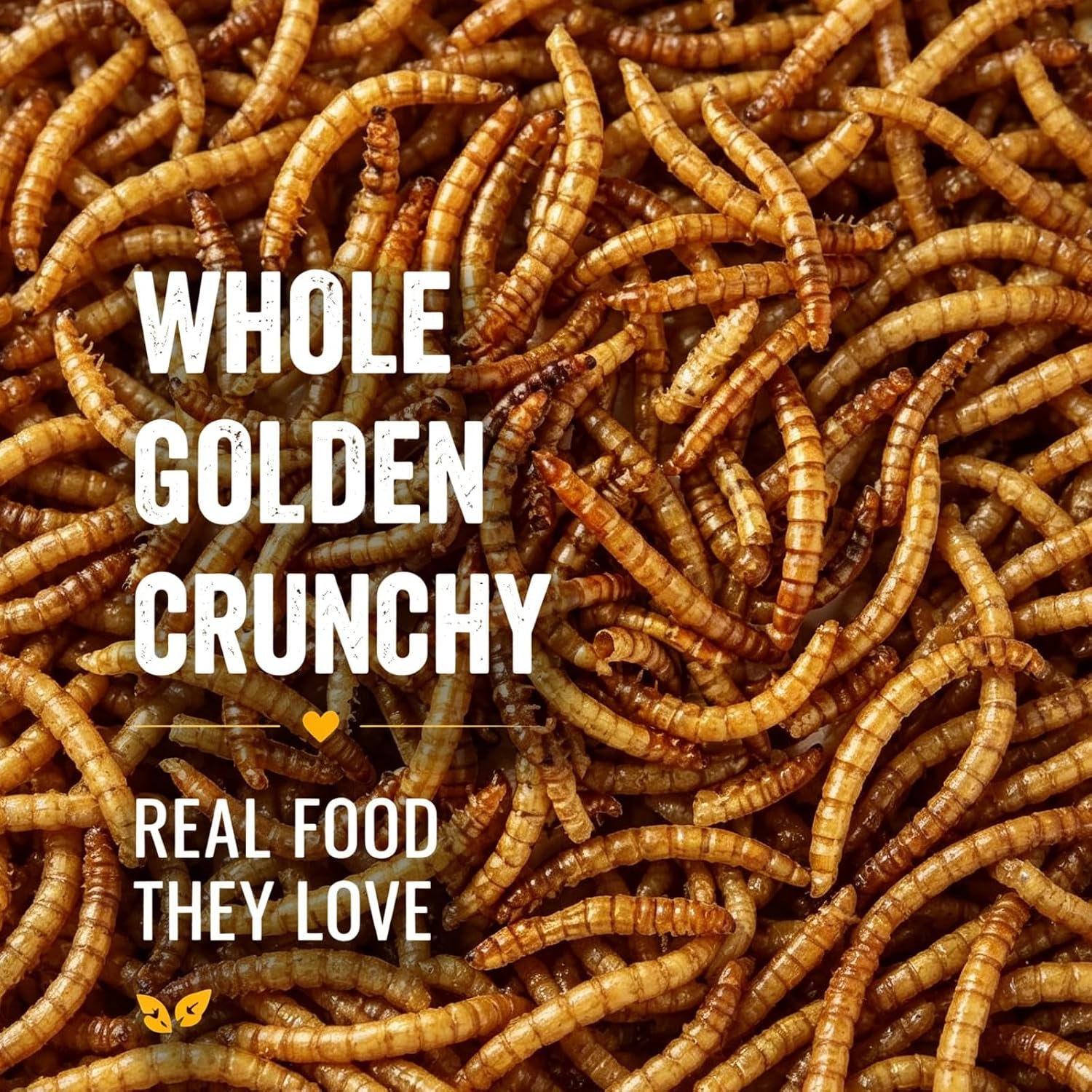 10LB Dried Mealworms Bulk Bag for Chickens & Wild Birds, High Protein