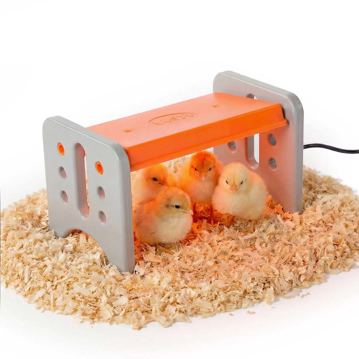 K&H small Thermo-Poultry brooder for up to 15 chicks