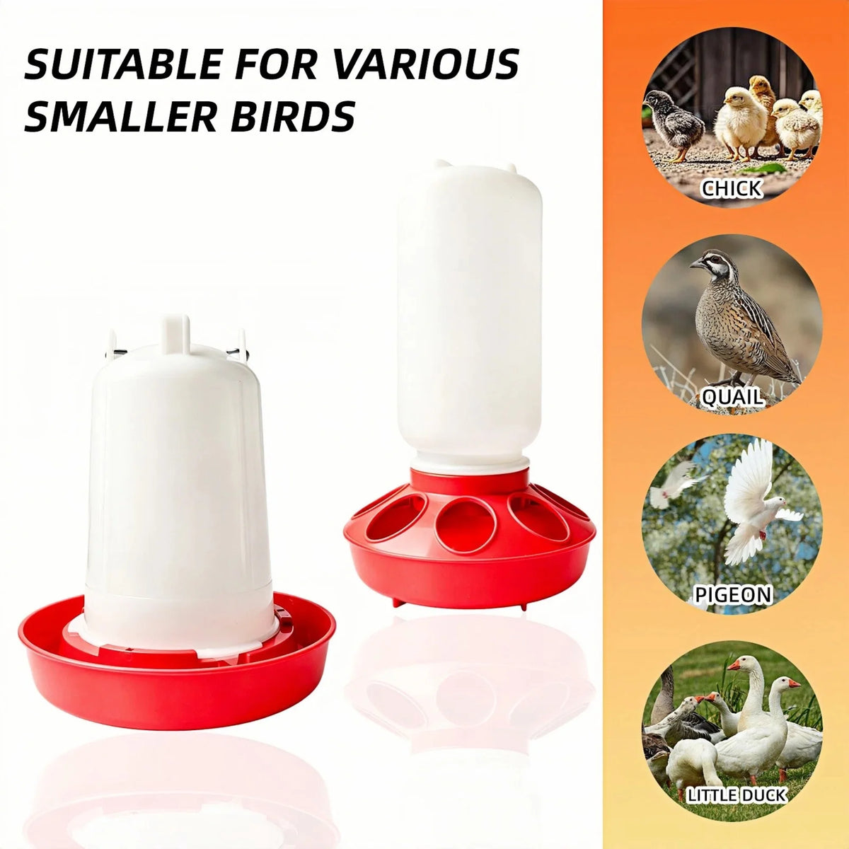 Adjustable Chick Feeder & Waterer Set – 2-Piece Brooder Kit