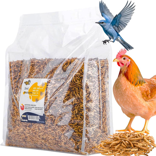 5LB Dried Mealworms for Chickens, Ducks & Wild Birds, High Protein Treat