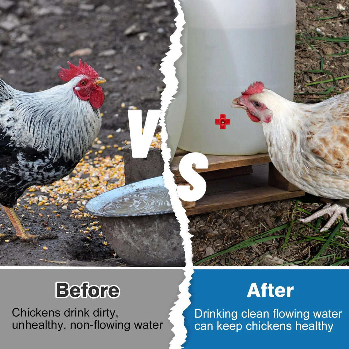 20-Pack Horizontal Chicken Watering Nipples – DIY Poultry Waterer Kit
