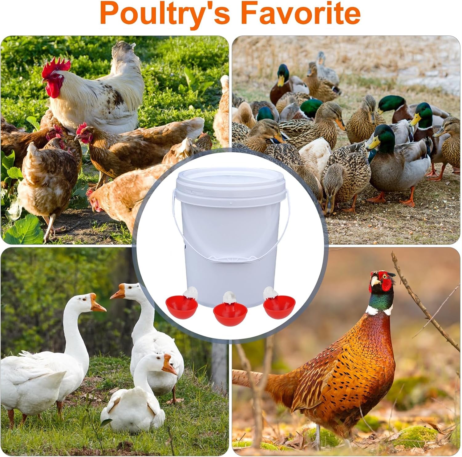 Automatic Chicken Waterer Cups, 6 Pack Large Chicken Water Feeder | Chicken Water Cups, Poultry Waterer Great for Duck, Chicken, Goose, Turkey, Bunny and Bird with Installing Drill