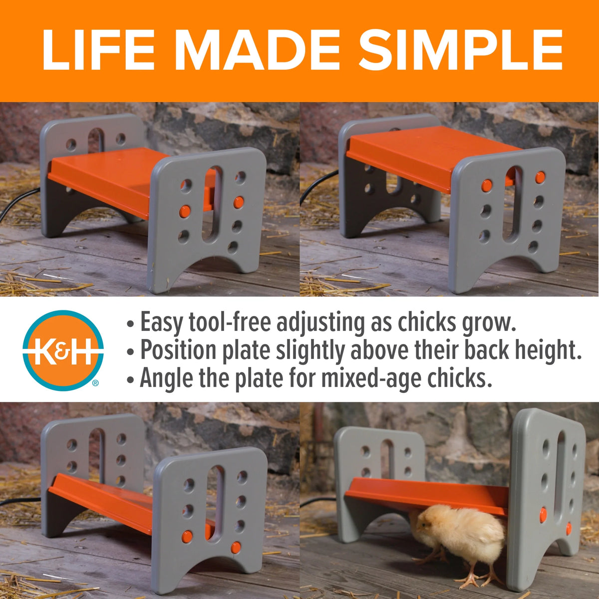 K&H small Thermo-Poultry brooder for up to 15 chicks