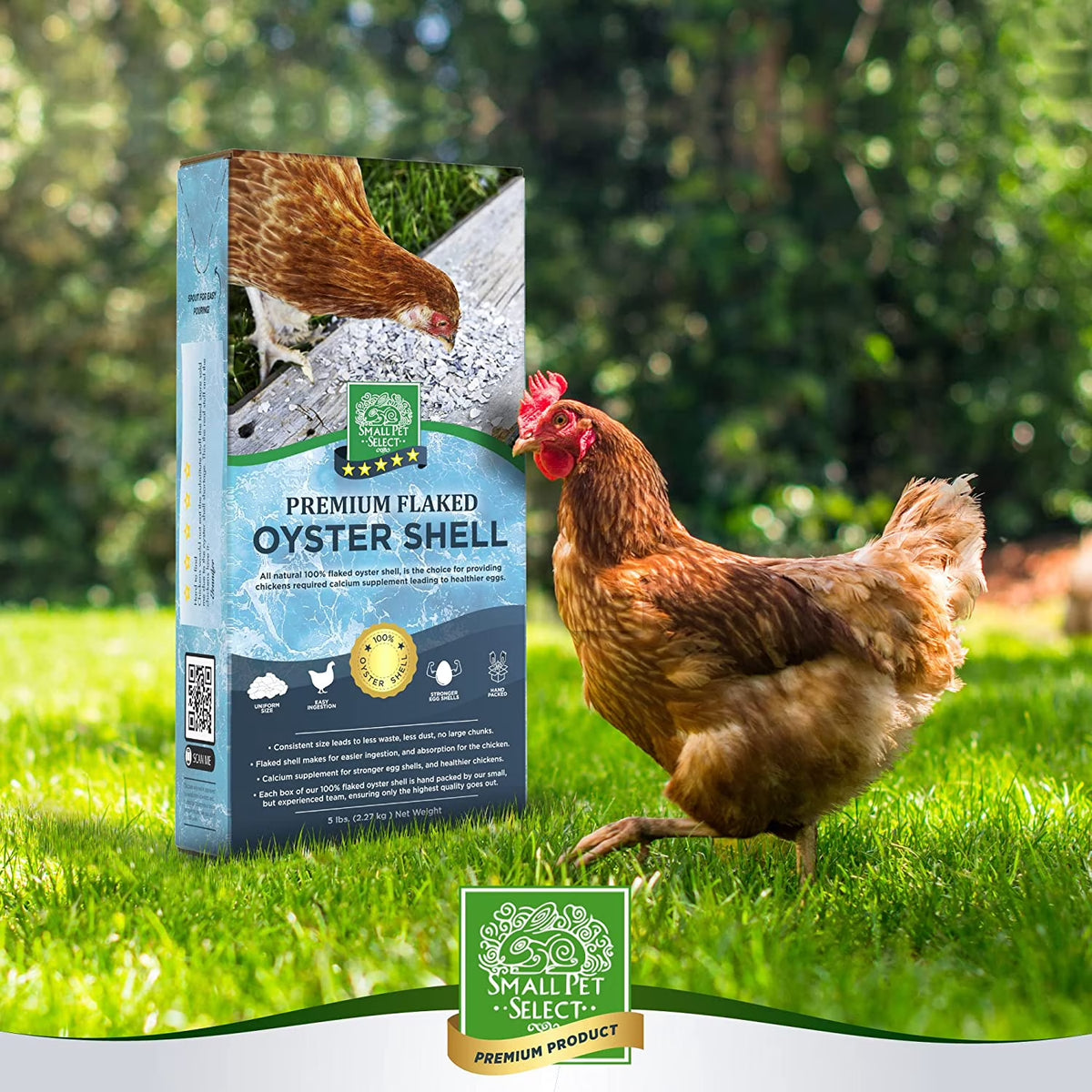 '- 100% Flaked Oyster Shell, Calcium Supplement for Chickens, and Ducks, 5Lb