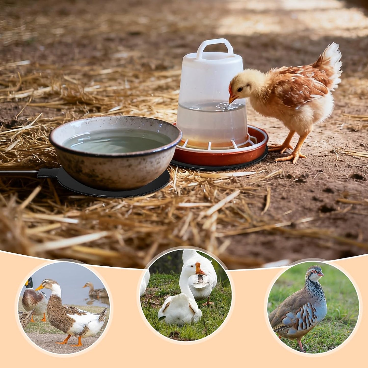 Chicken Water Heater for Winter, 6'' Heated Waterer Base for Metal/Plastic Poultry Waterer, 2-Temperature Settings, Built-In Thermostat (140°F - 194°F), Silicone Coop Heater with 6Ft Power Cord (2Pcs)
