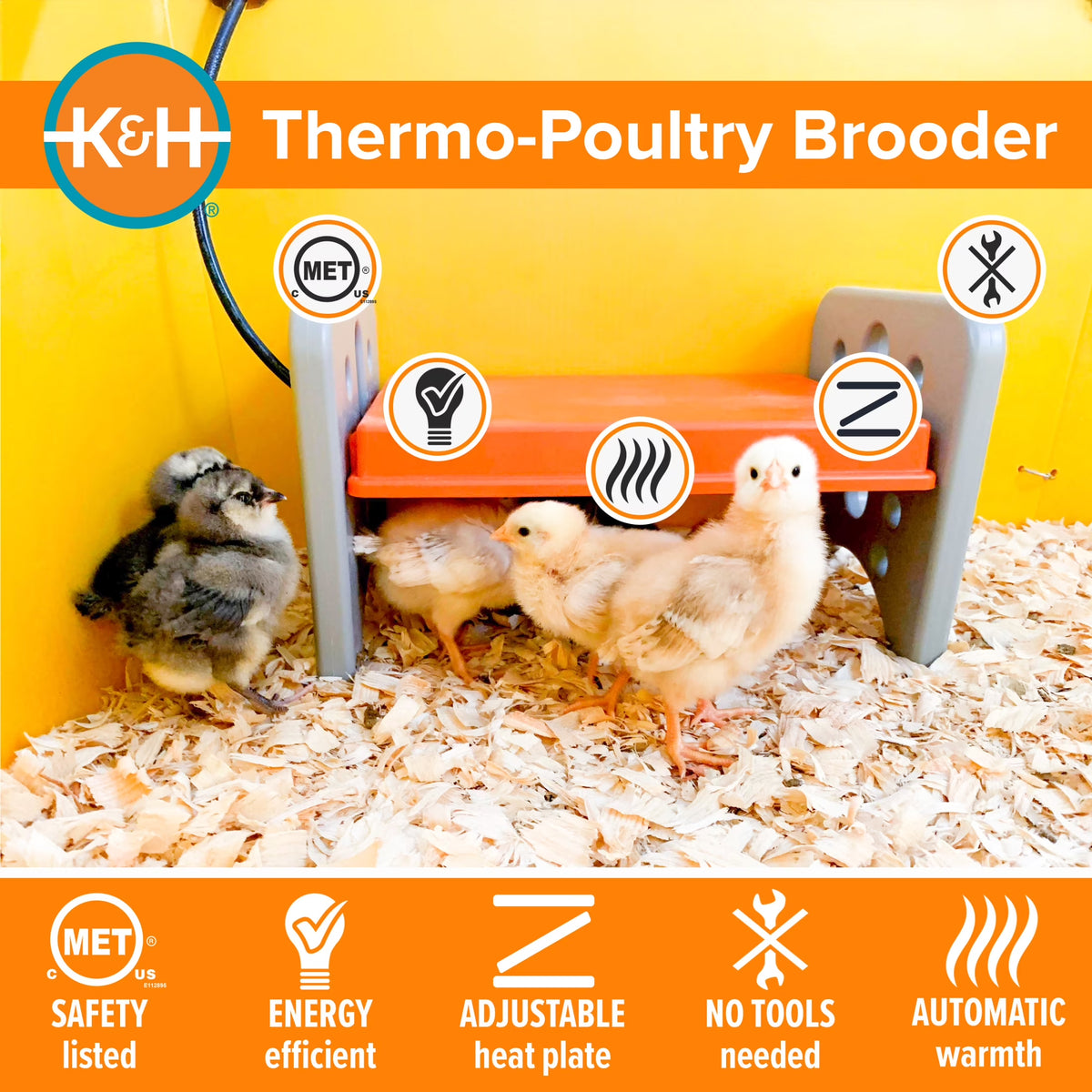 K&H small Thermo-Poultry brooder for up to 15 chicks