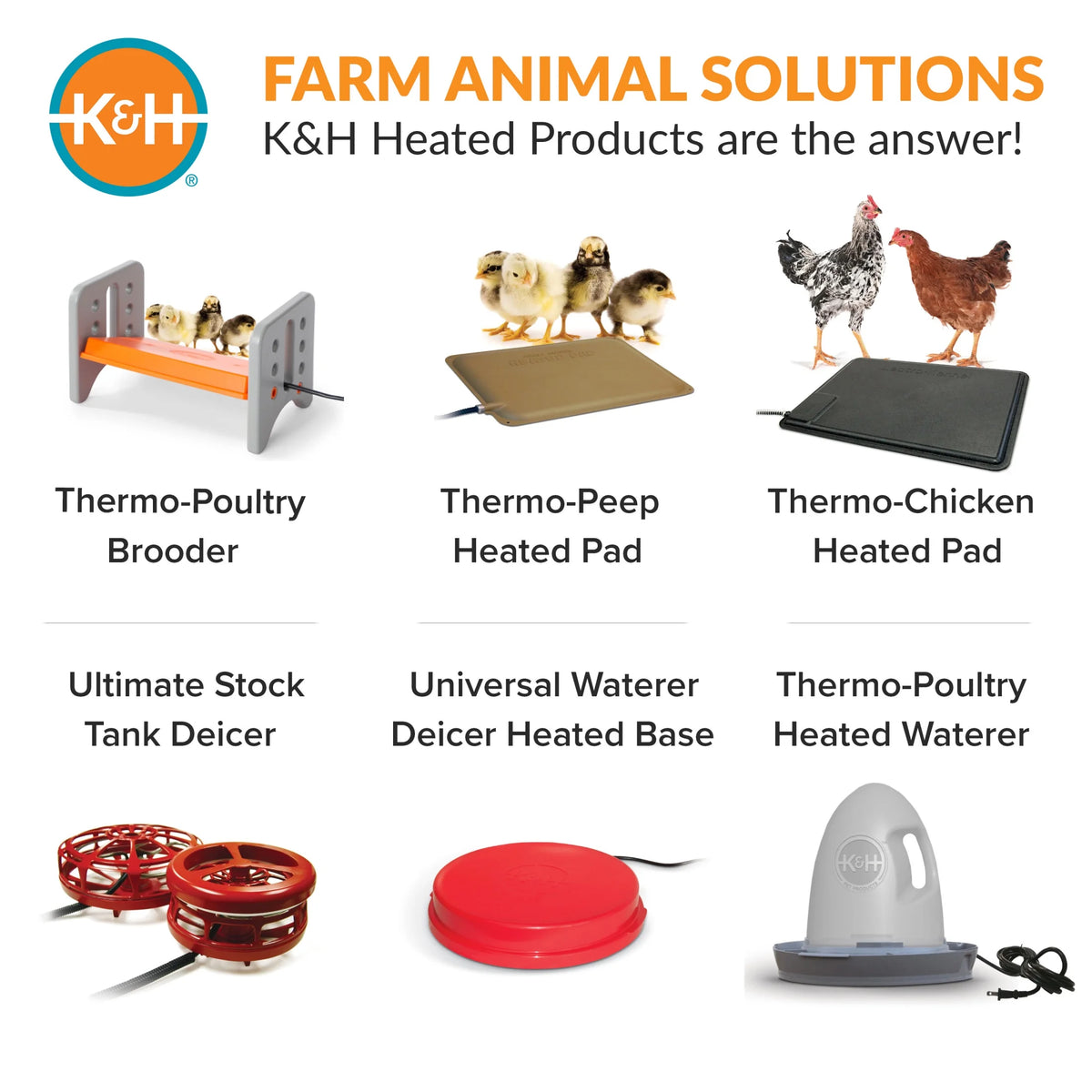 K&H small Thermo-Poultry brooder for up to 15 chicks