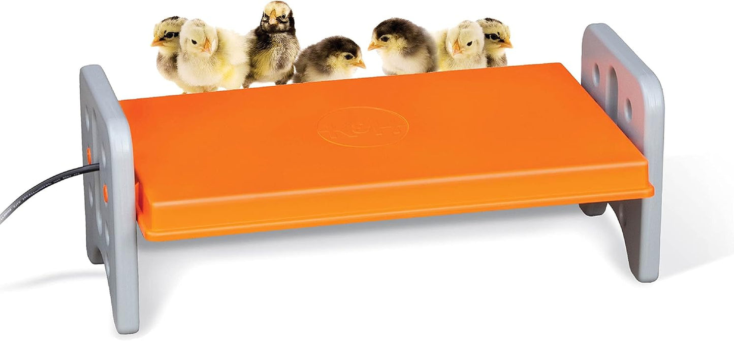 K&H Thermo-Poultry Brooder Plate – Large, 40W