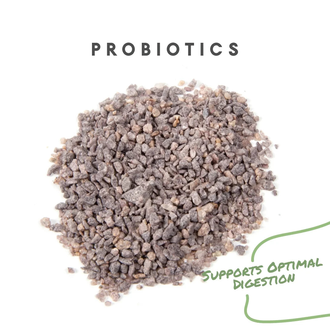 Manna Pro chick grit with probiotics, 5-pound bag