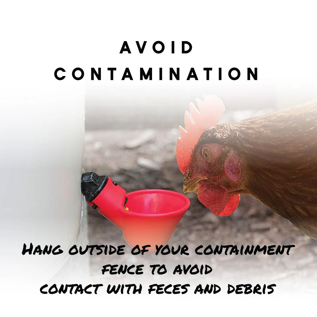 Harris Farms Easy-Fill 4-gallon chicken waterer
