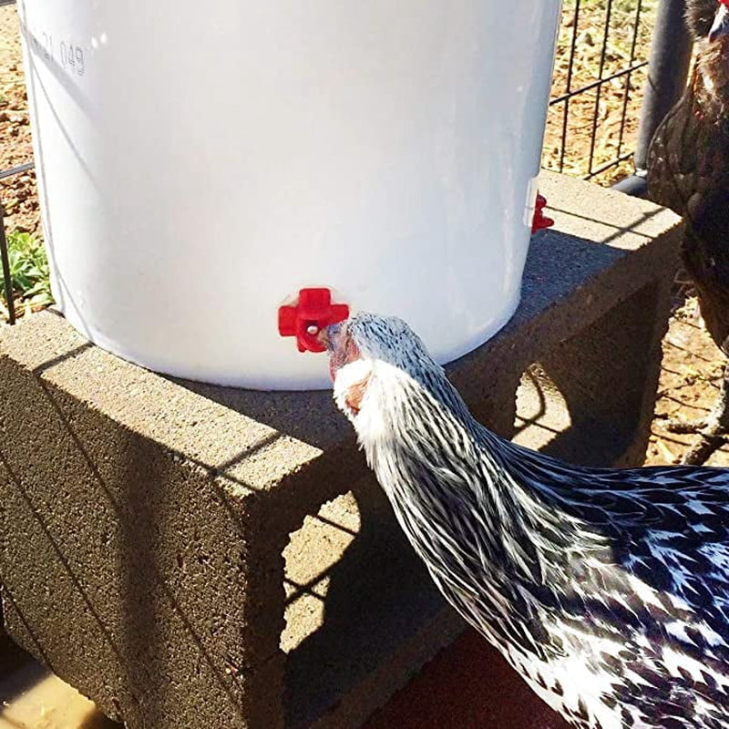 20-Pack Horizontal Chicken Watering Nipples – DIY Poultry Waterer Kit