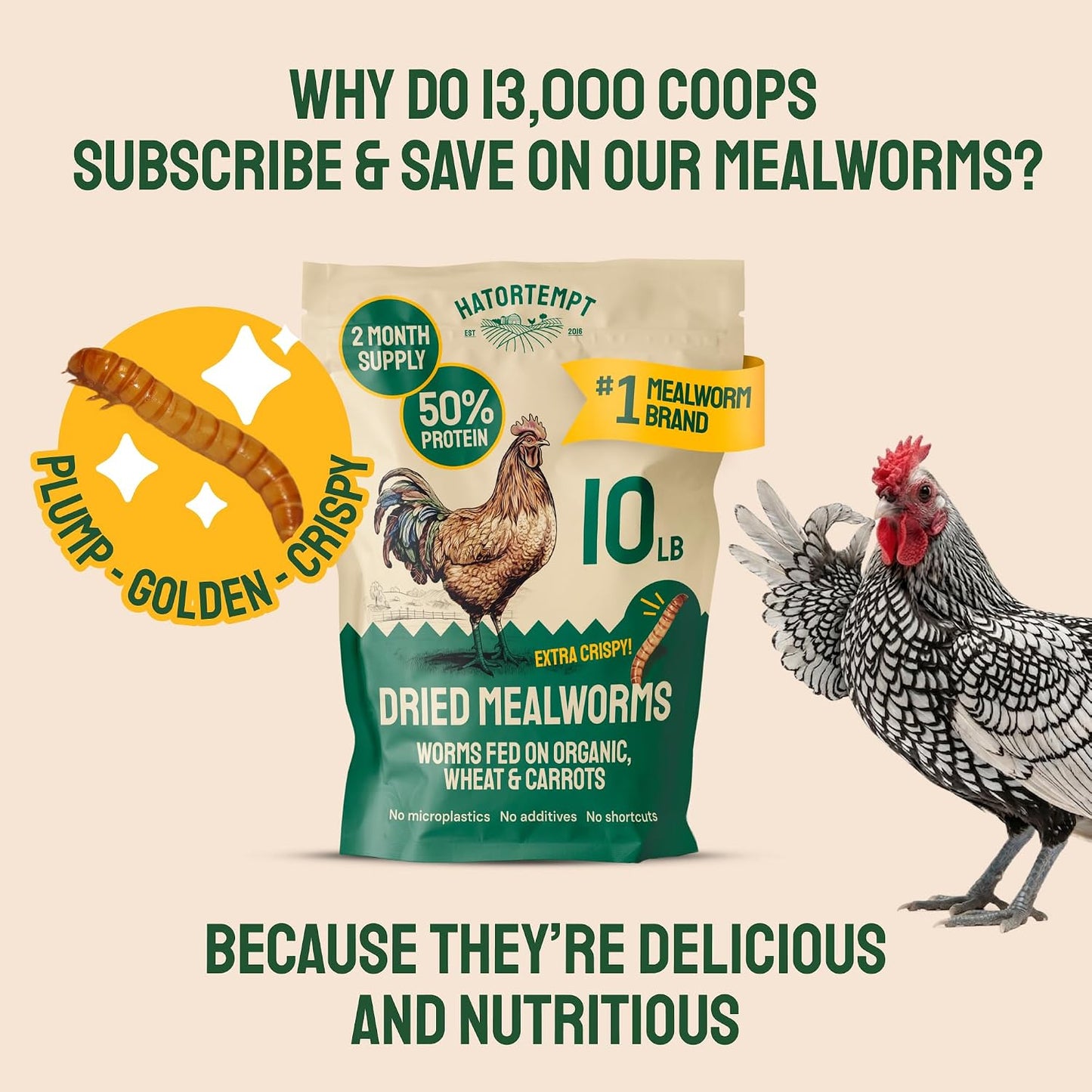 5Lb Dried Mealworms for Chickens & Wild Birds, Chicken Feed | High-Protein Chicken Food - Meal Worms Fed an Organic Diet - Hand Inspected Treats for Laying Hens & Ducks - 2 Yr Shelf Life