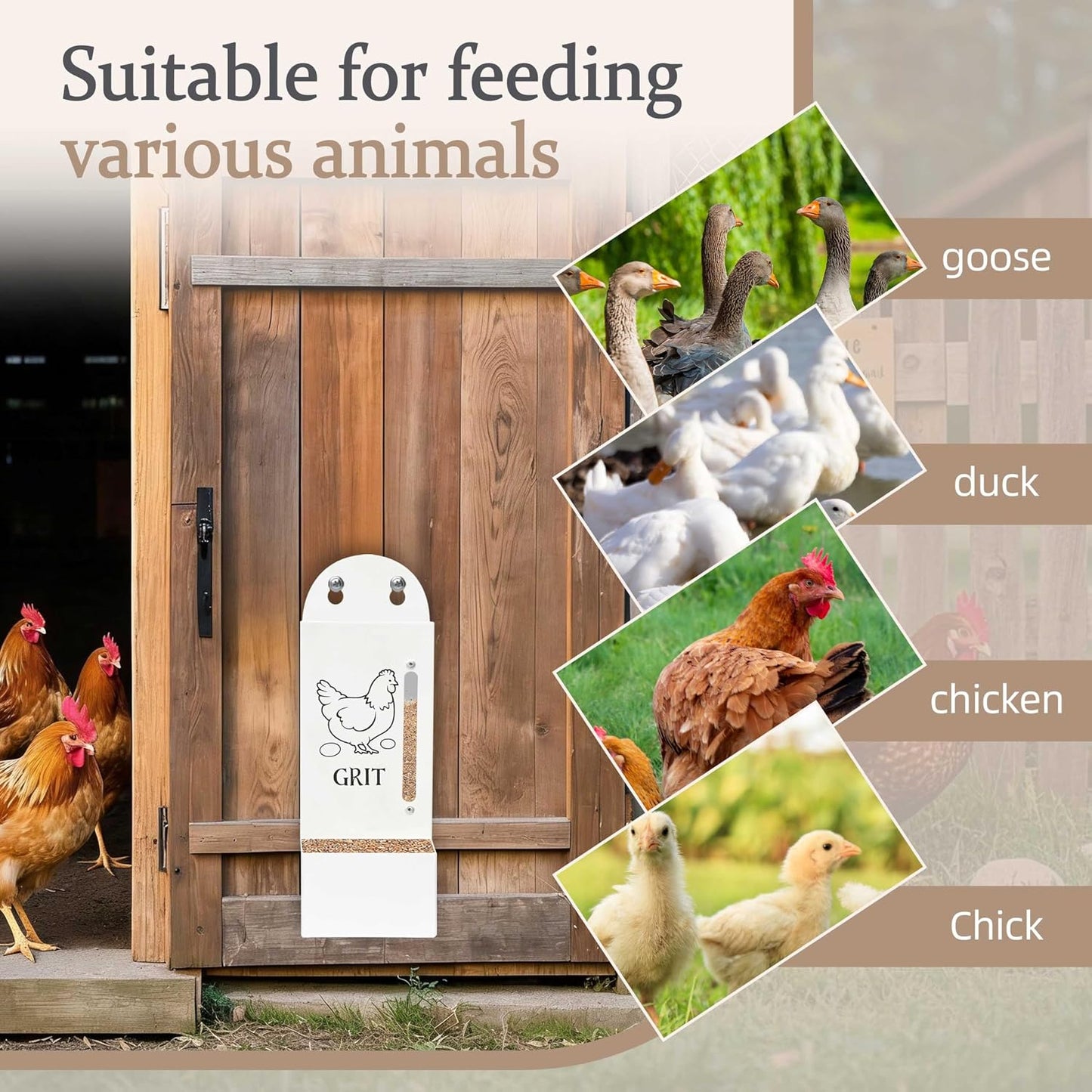 Chicken Grit and Oyster Shell Feeder, Poultry Feeder with Visual Window, No-Mess Weatherproof, Metal Hanging Gravity Chicken Feeder, Chicken Coop Accessories (Oyster-White)