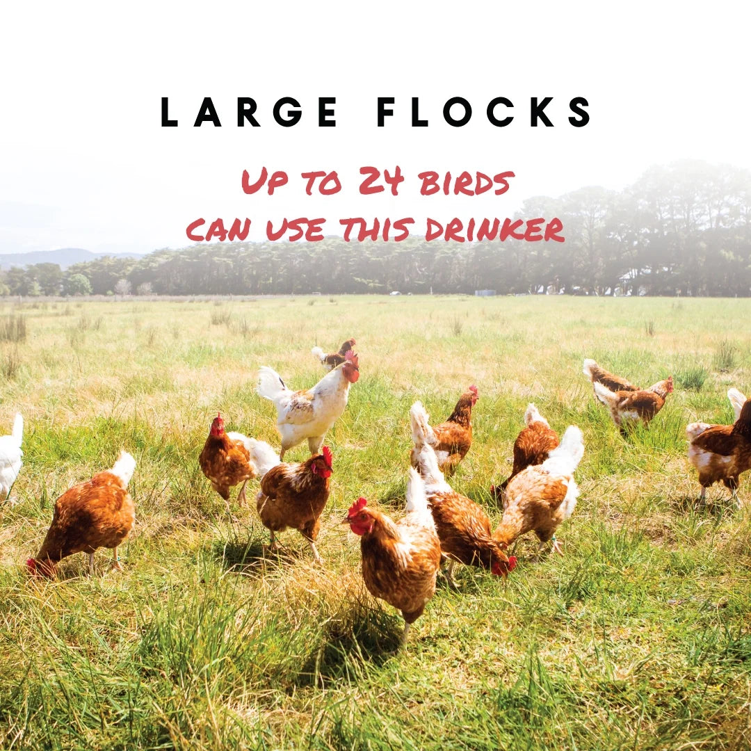 Harris Farms Easy-Fill 4-gallon chicken waterer